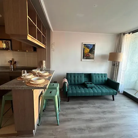 Acogedor Departamento En El Centro De Santiago Apartment